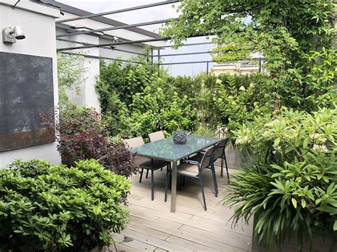 piante alte da balcone